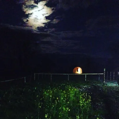 Carrigeen Glamping-2